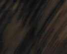 midnight_canyon_shell