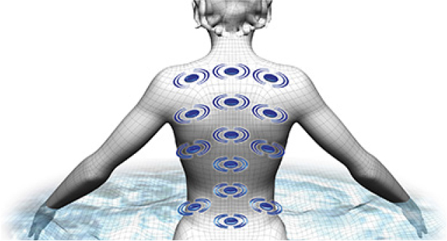 Twilight Series Hot Tubs Master Force™ Bio-Magnetic Therapy Twilight Series Hot Tubs Master Force™ Bio-Magnetic Therapy