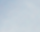 Sierra_Shell