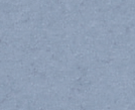Sierra_Shell