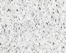 Sierra_Shell